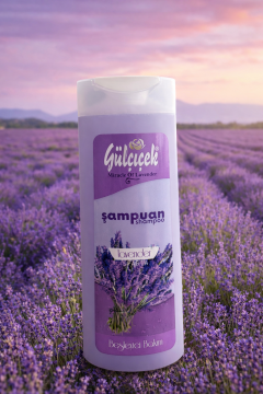 420 ml Lavanta Özlü Saç Bakım Şampuanı