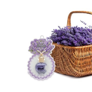 12 ml Lavanta Oto Kokusu