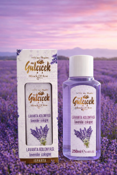 250 ml Pet kutulu Lavanta Kolonyası - Köşeli Şişe